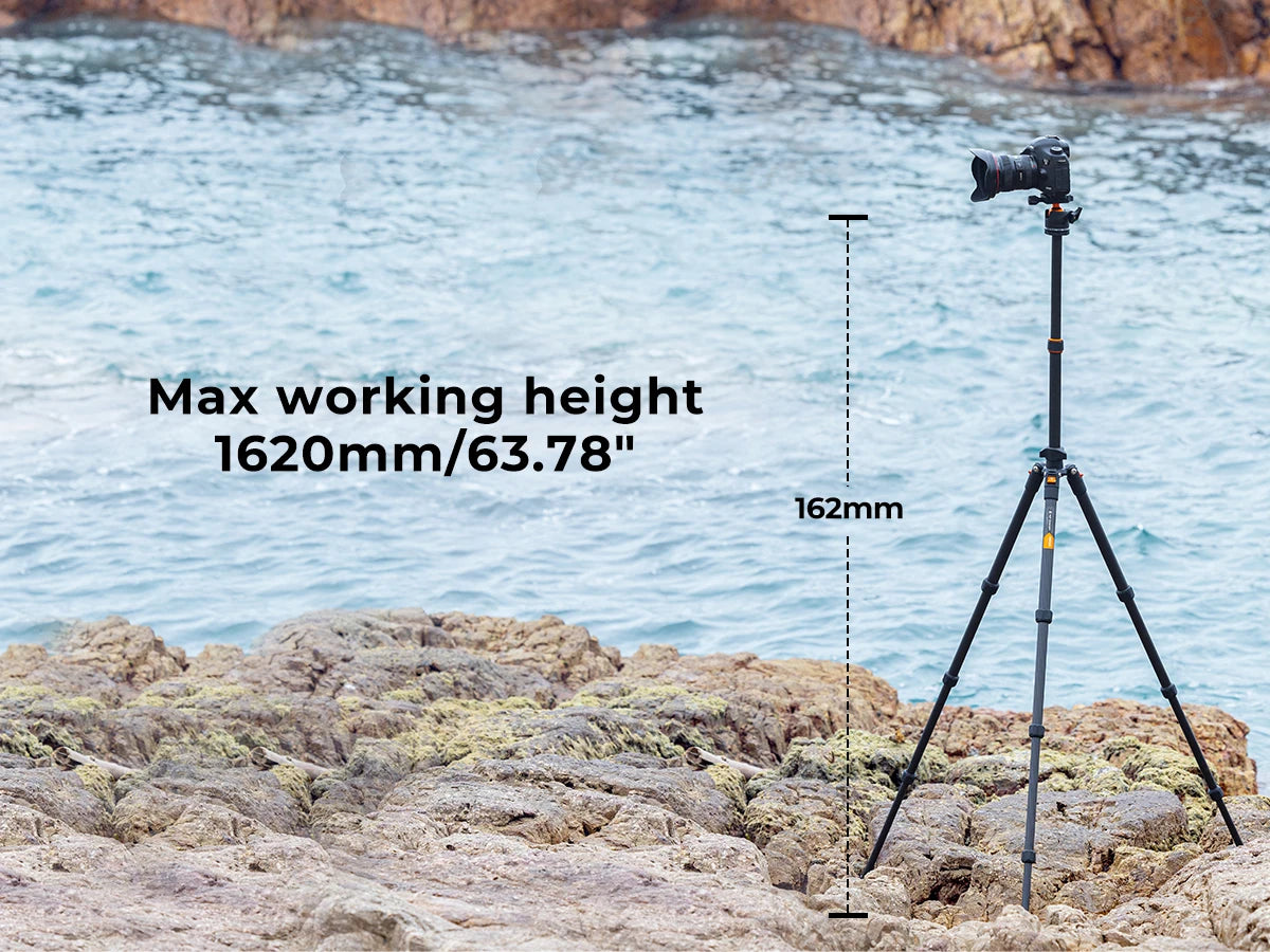 K&F Concept 64 inch/162cm Carbon Fiber Camera Tripod Lightweight Travel Tripod with 36mm Metal Ball Head Quick Release Plate